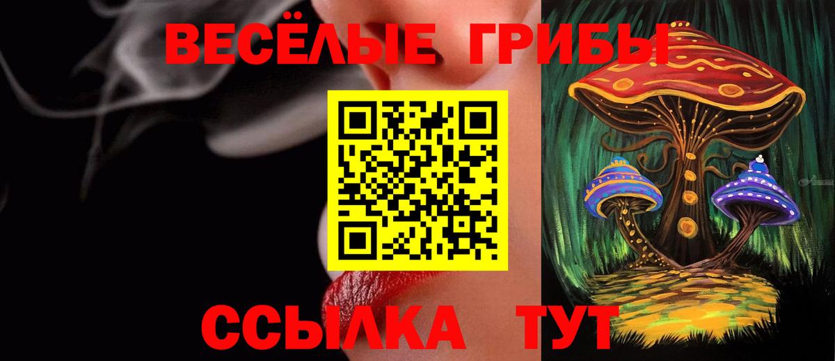 Краснокаменск  Галлюциногенные грибы Cubensis  Вход с VPN 